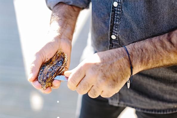 Couteau à huîtres – île de Noirmoutier ©Trendz