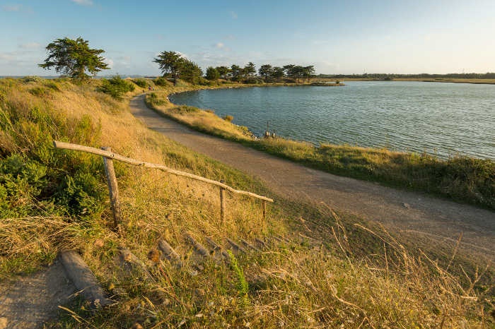 Entre Gois et forêts - Le polder de Sébastopol Entre Gois et forêts - Le polder de Sébastopol