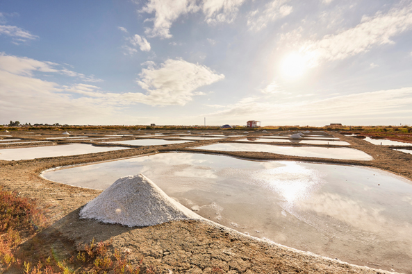 Les Marais Salants de l'Epine © Alamoureux Les Marais Salants de l'Epine © Alamoureux