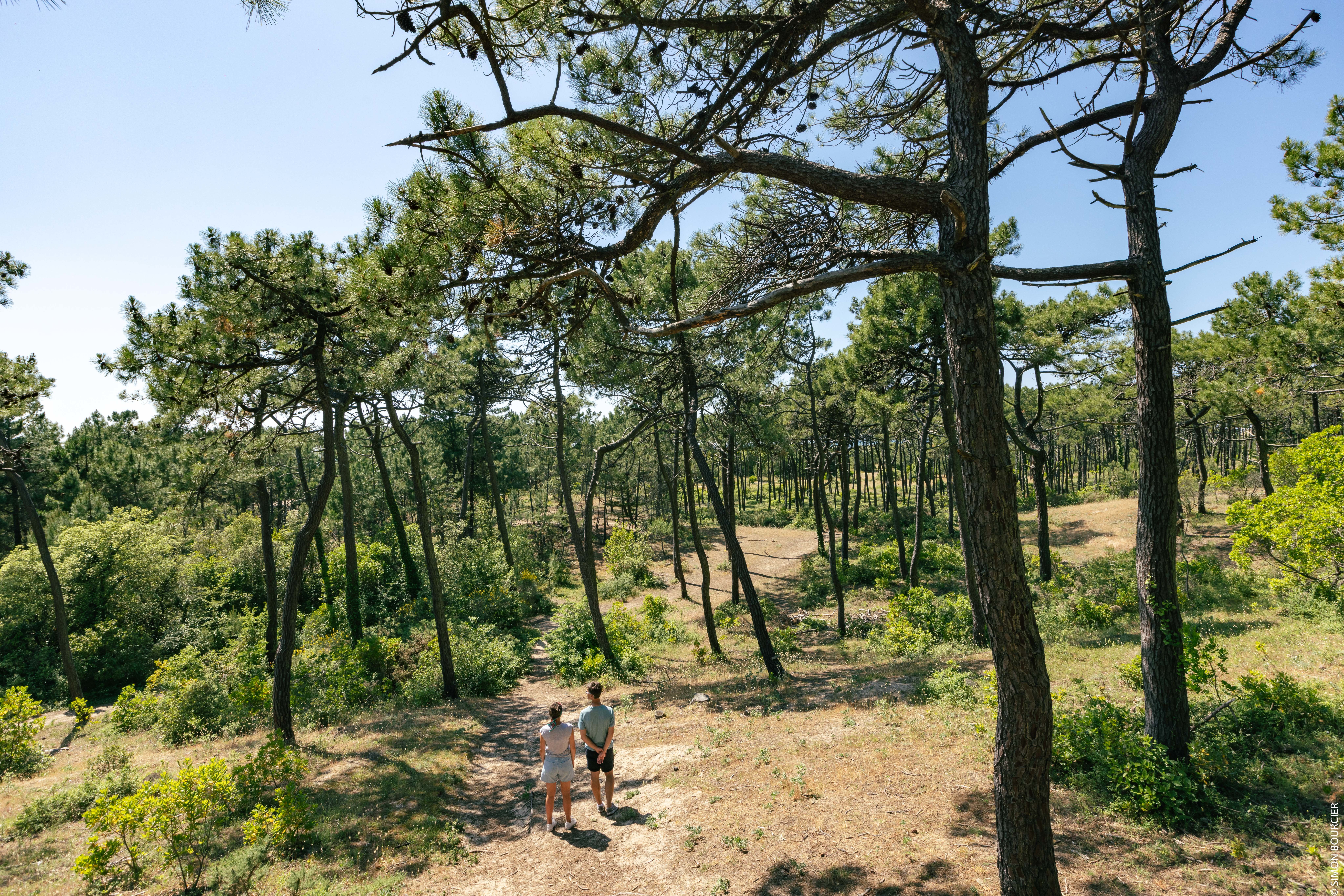 ©Office de Tourisme Ile de Noirmoutier - ©Vendée Expansion - ©Simon Bourcier - Bois des Eloux à La Guérinière ©Office de Tourisme Ile de Noirmoutier - ©Vendée Expansion - ©Simon Bourcier - Bois des Eloux à La Guérinière