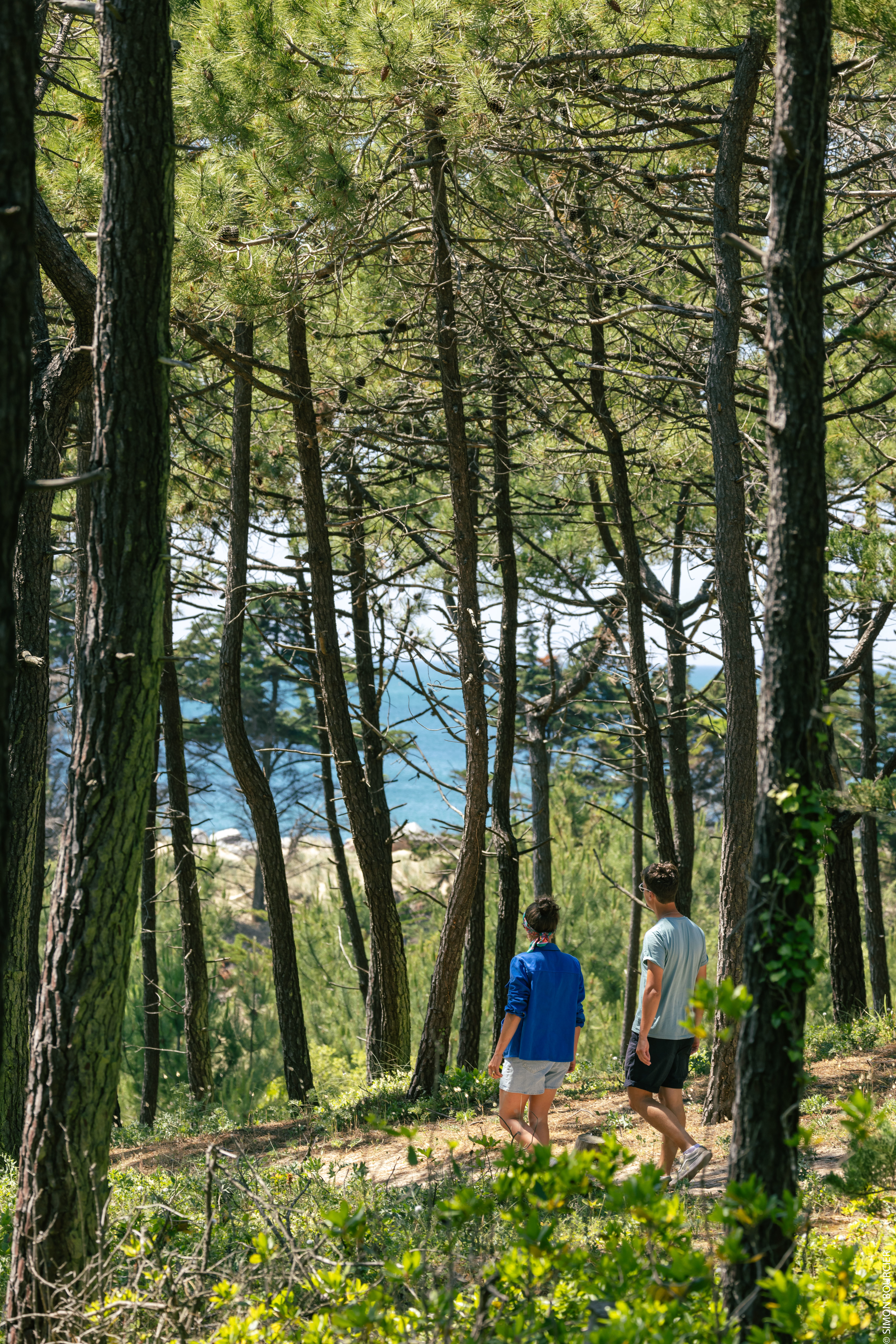 ©Office de Tourisme Ile de Noirmoutier - ©Vendée Expansion - ©Simon Bourcier - Bois des Eloux La Guérinière ©Office de Tourisme Ile de Noirmoutier - ©Vendée Expansion - ©Simon Bourcier - Bois des Eloux La Guérinière
