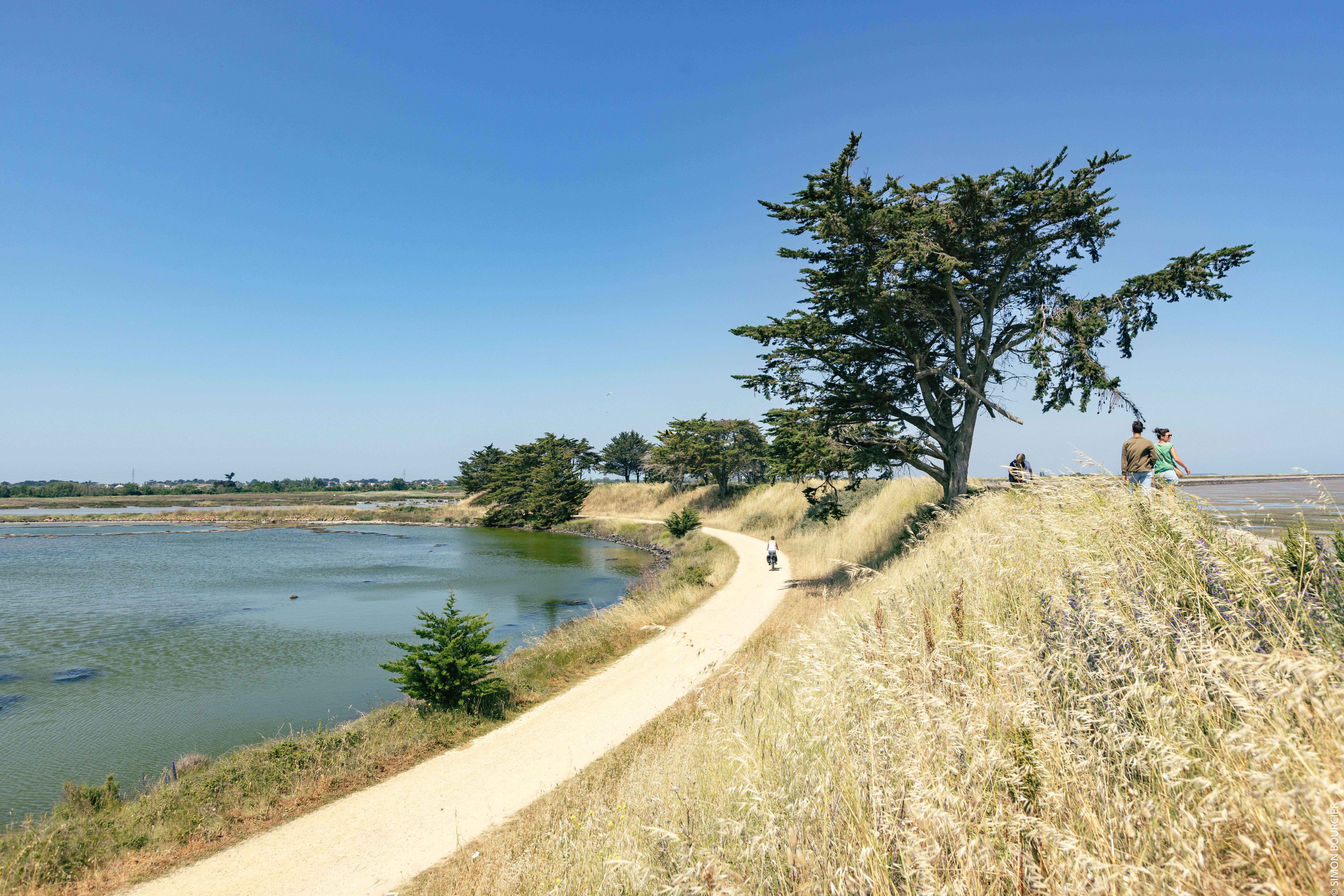 ©Office de Tourisme Ile de Noirmoutier - ©Vendée Expansion - ©Simon Bourcier - Polder de Sébastopol Barbâtre ©Office de Tourisme Ile de Noirmoutier - ©Vendée Expansion - ©Simon Bourcier - Polder de Sébastopol Barbâtre