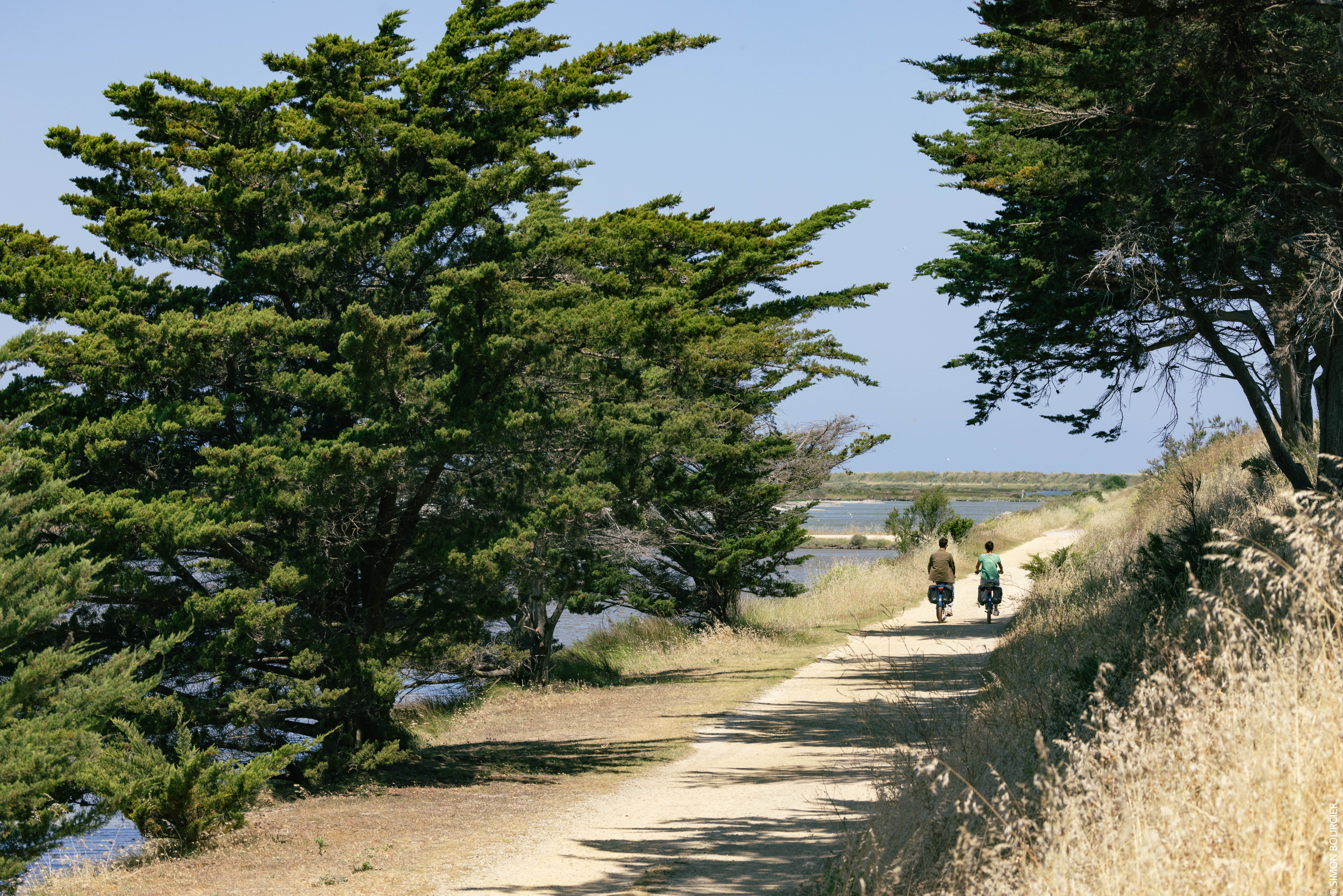 ©Office de Tourisme Ile de Noirmoutier - ©Vendée Expansion - ©Simon Bourcier - Polder de Sébastopol Barbâtre ©Office de Tourisme Ile de Noirmoutier - ©Vendée Expansion - ©Simon Bourcier - Polder de Sébastopol Barbâtre