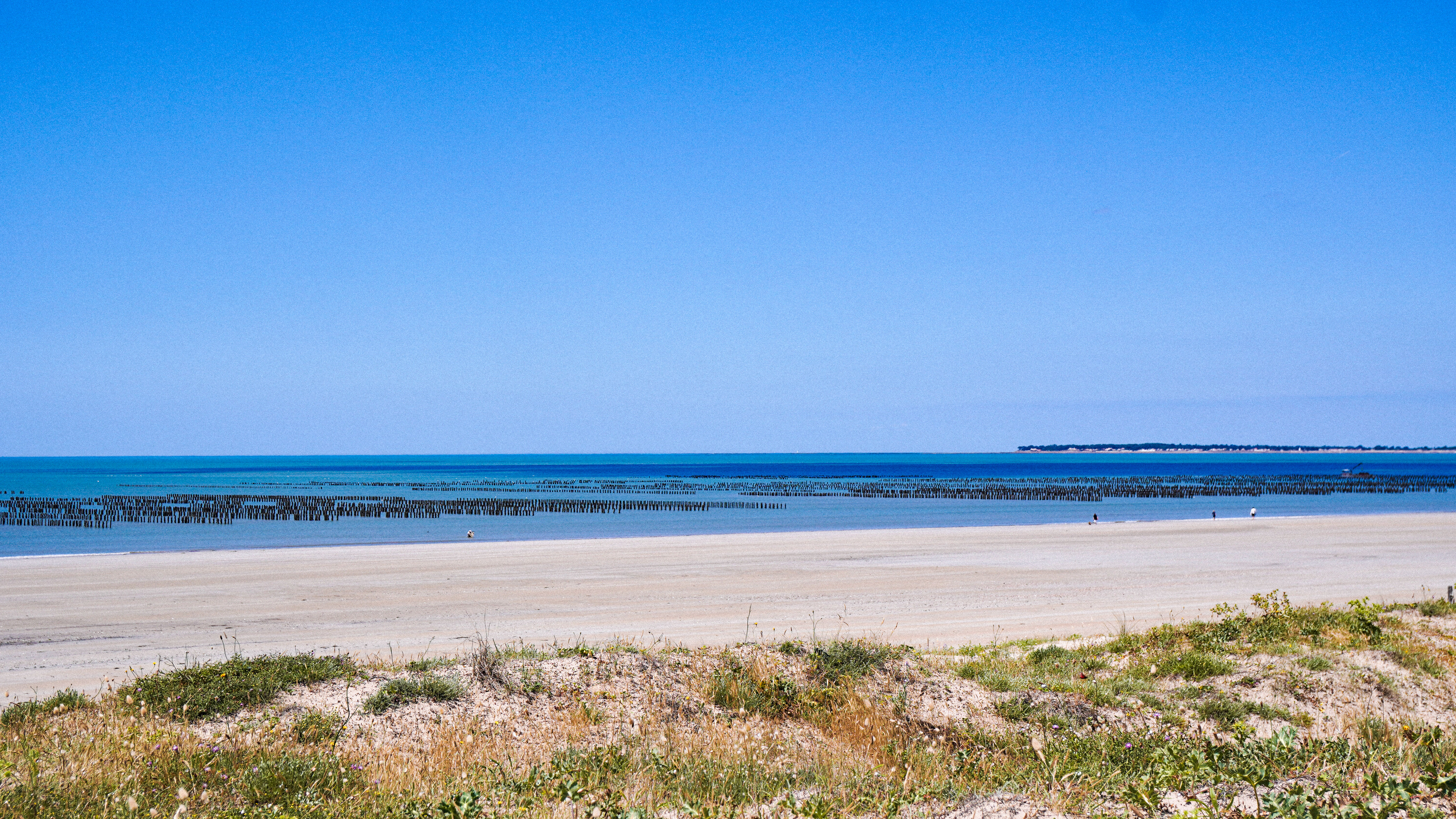 ©Quentin Boulegon - Plage de Barbâtre ©Quentin Boulegon - Plage de Barbâtre