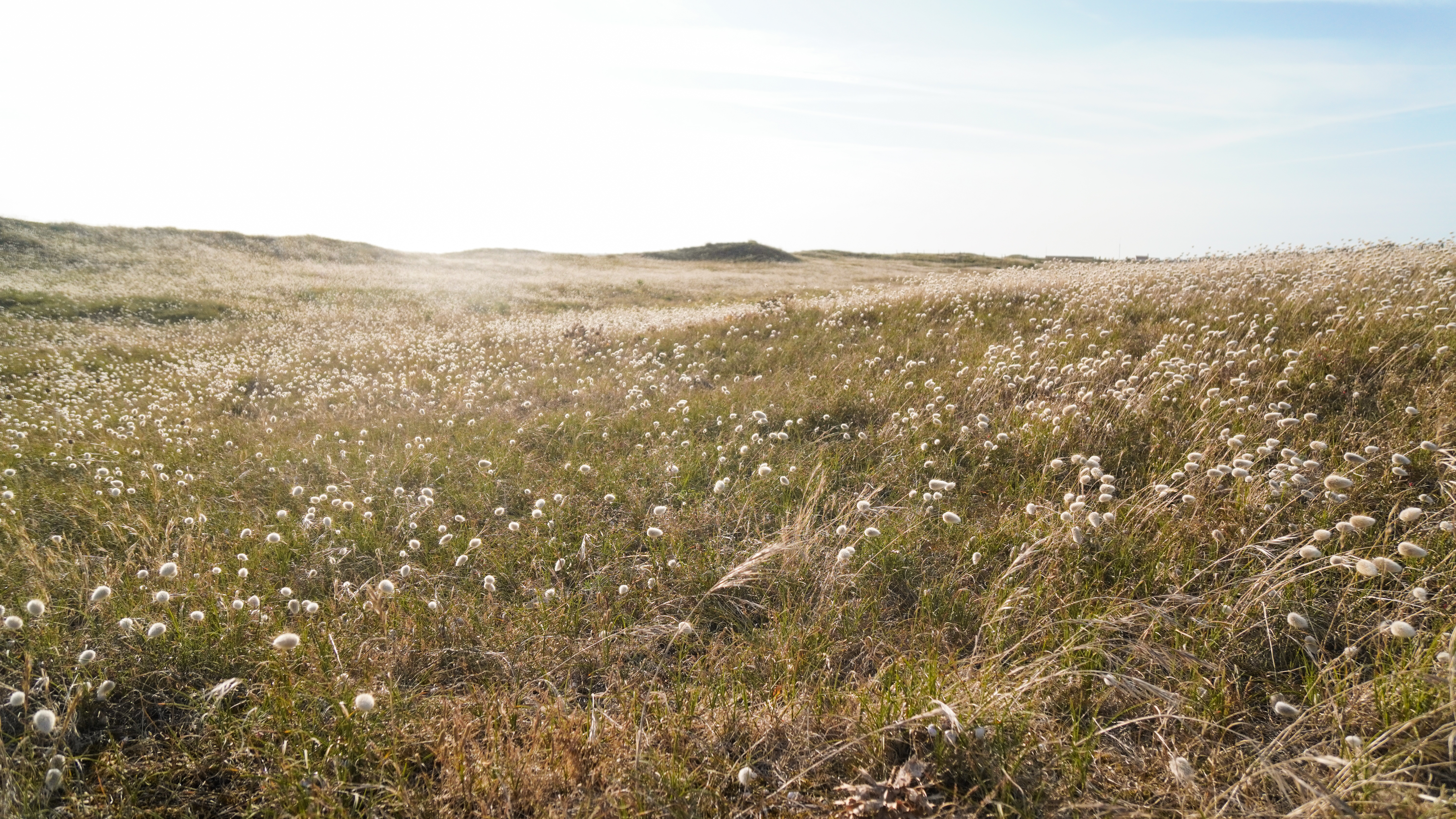 ©Quentin Boulegon-Dunes de Barbâtre ©Quentin Boulegon-Dunes de Barbâtre