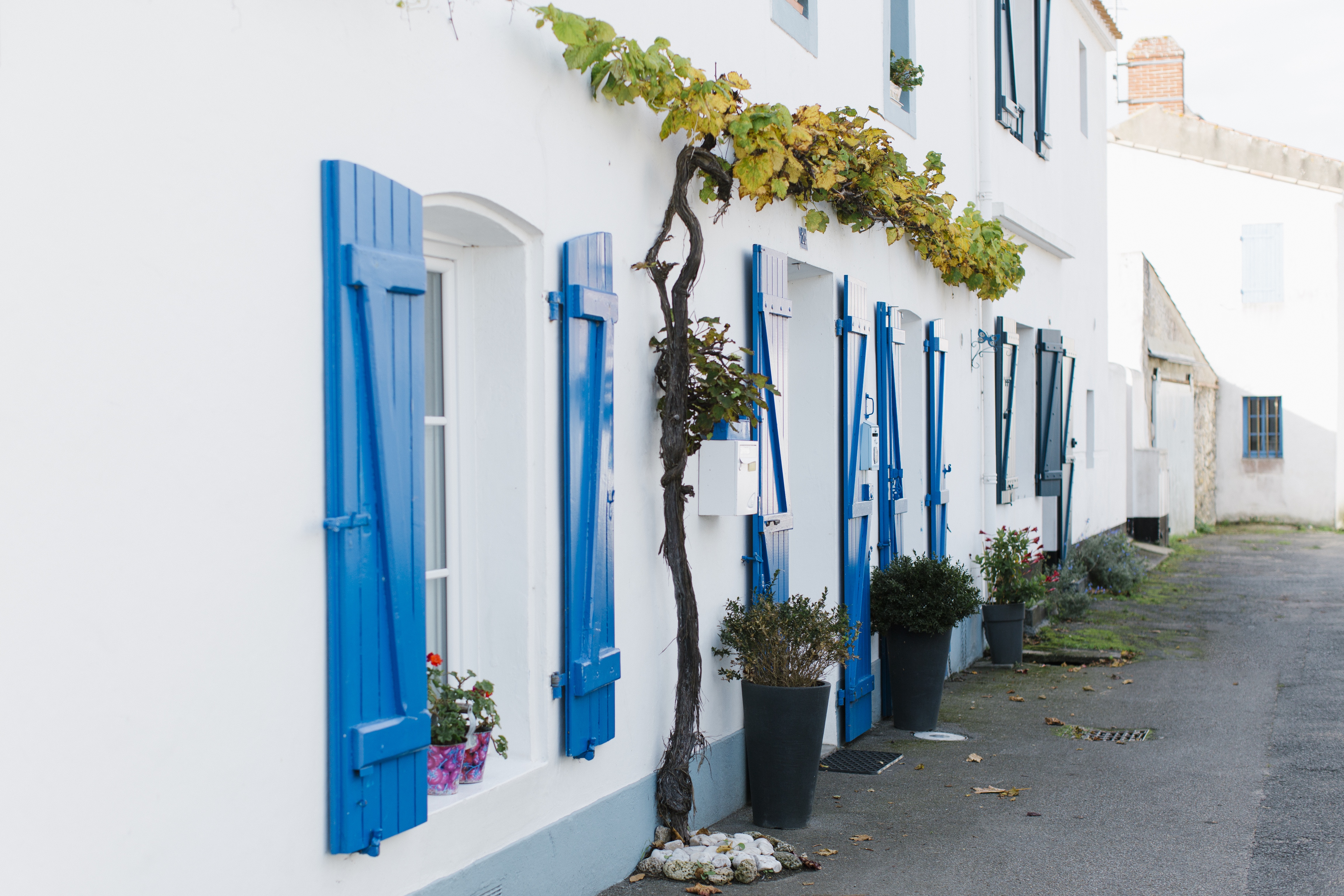 ©Trendz - quartier de Banzeau centre historique Noirmoutier-en-l'île ©Trendz - quartier de Banzeau centre historique Noirmoutier-en-l'île