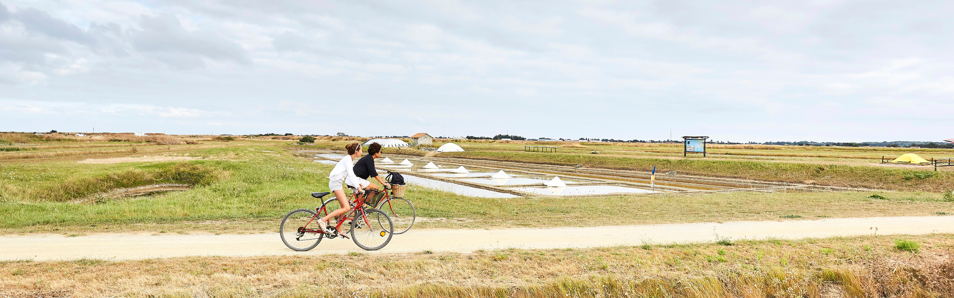 Entre marais et moulins - île de Noirmoutier Entre marais et moulins - île de Noirmoutier