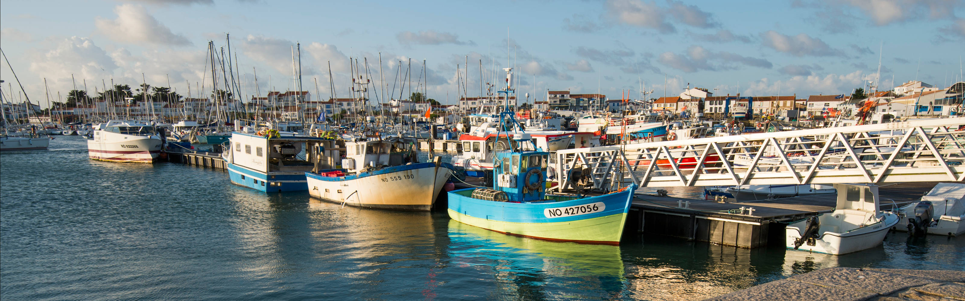 Le Port De Lherbaudière Pêche Et Plaisance à Noirmoutier