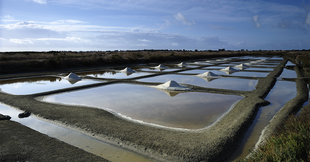 Marais-Salants-île-de-Noirmoutier-JS-Evrard Marais-Salants-île-de-Noirmoutier-JS-Evrard