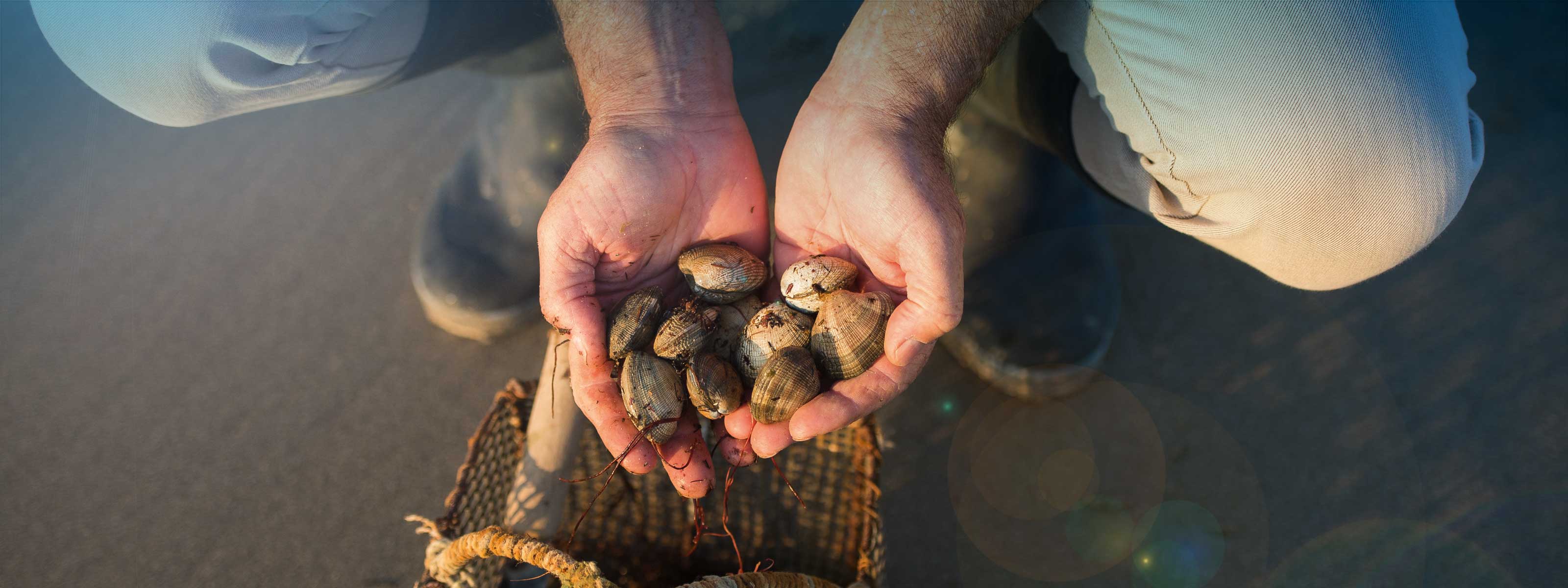 Pêche aux huîtres : Techniques et Conseils