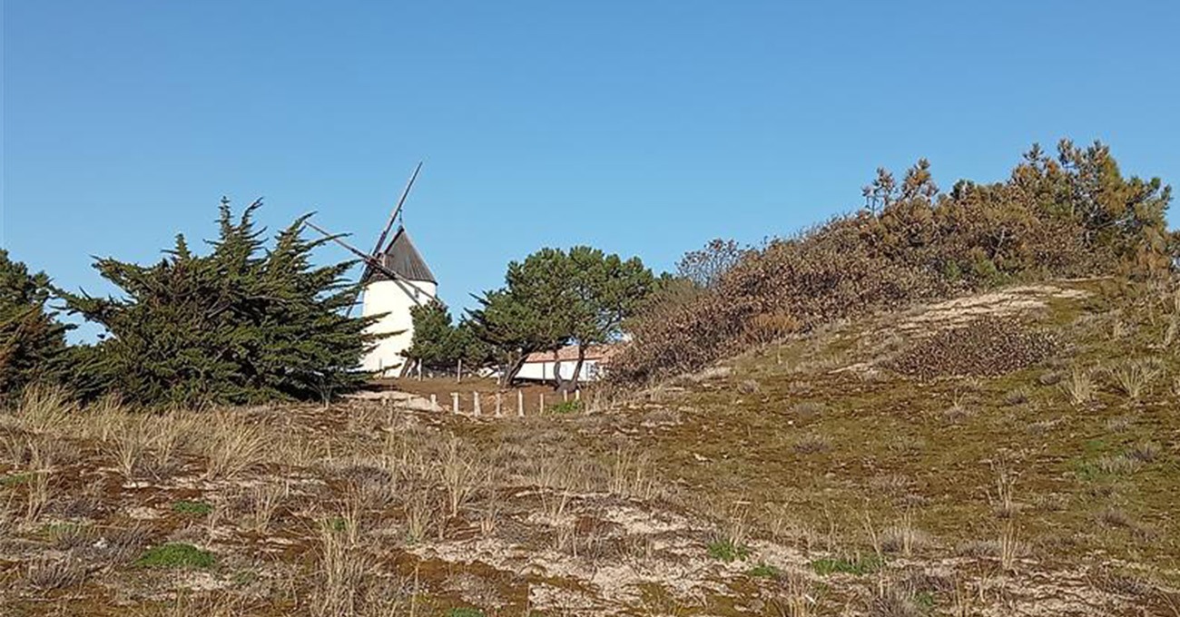 Sortie nature La Dune et son écosystème île de Noirmoutier - Marie Grué