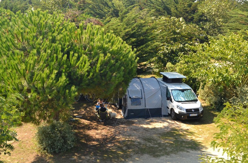 ile-de-noirmoutier-campings-camping-municipal-de-la-court-emplacement-camping-2-5915149