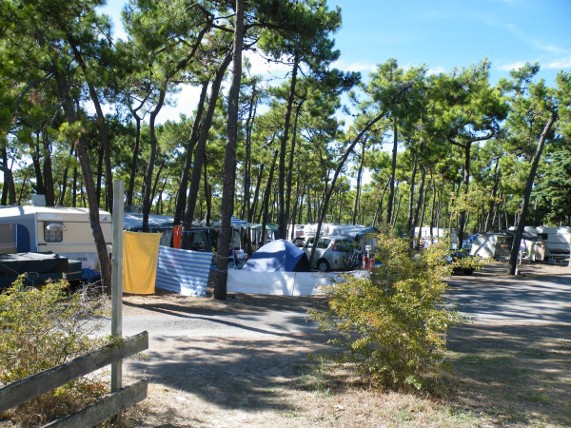 ile-de-noirmoutier-campings-les-oncheres-emplacements-2-5204662