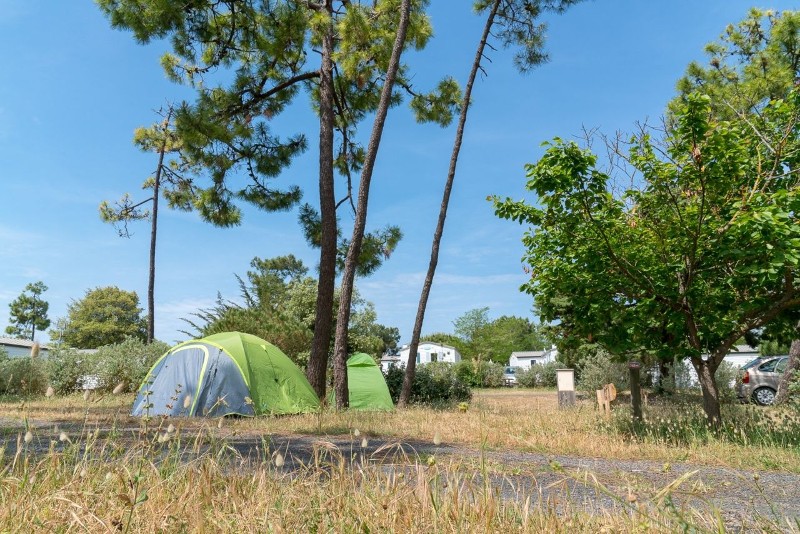 ile-de-noirmoutier-campings-sandaya-domaine-le-midi-emplacement-3-5907056