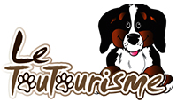 Logo toutourisme