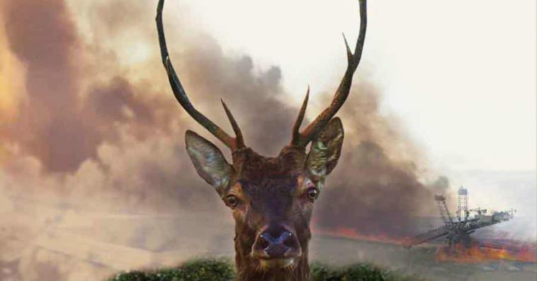 Le vivant qui se défend