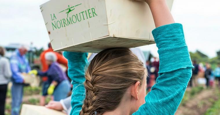 Fête de la Bonnotte - Coopérative pommes de terre Noirmoutier