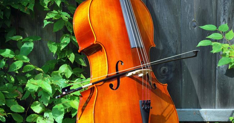 Violoncelle