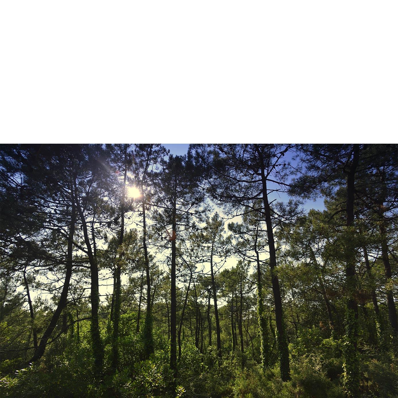 Reconnexion-Nature-©Pascal Beltrami Reconnexion-Nature-©Pascal Beltrami
