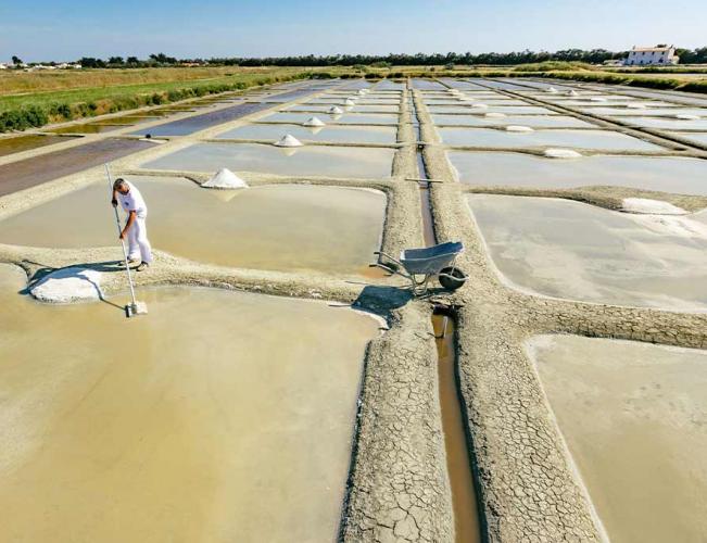 La box de la mer, produits de l'océan Atlantique et les marais salants