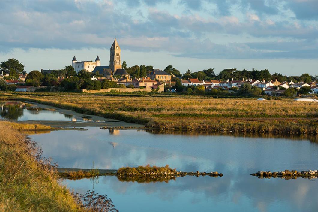 Marais Mullembourg  -Joncheray