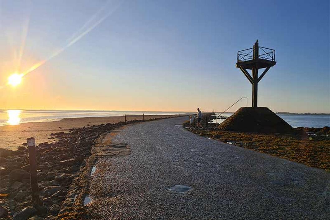 Visite guidée Gois balise lever de soleil - Céline Brochet