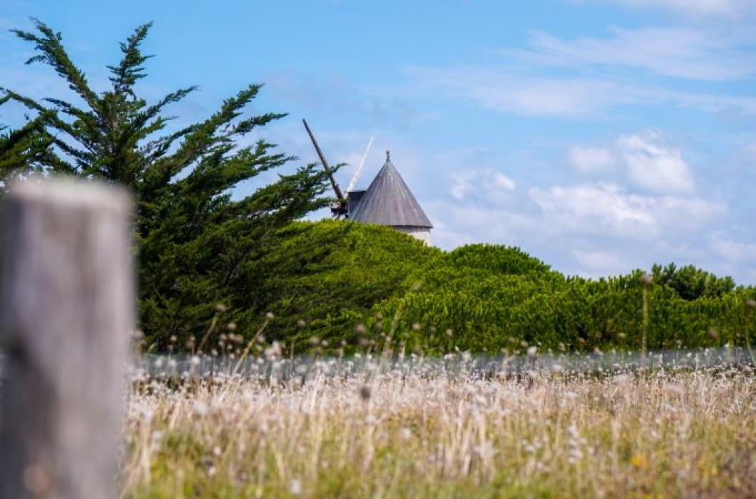 Moulin La Guérinière ©Quentin Boulegon