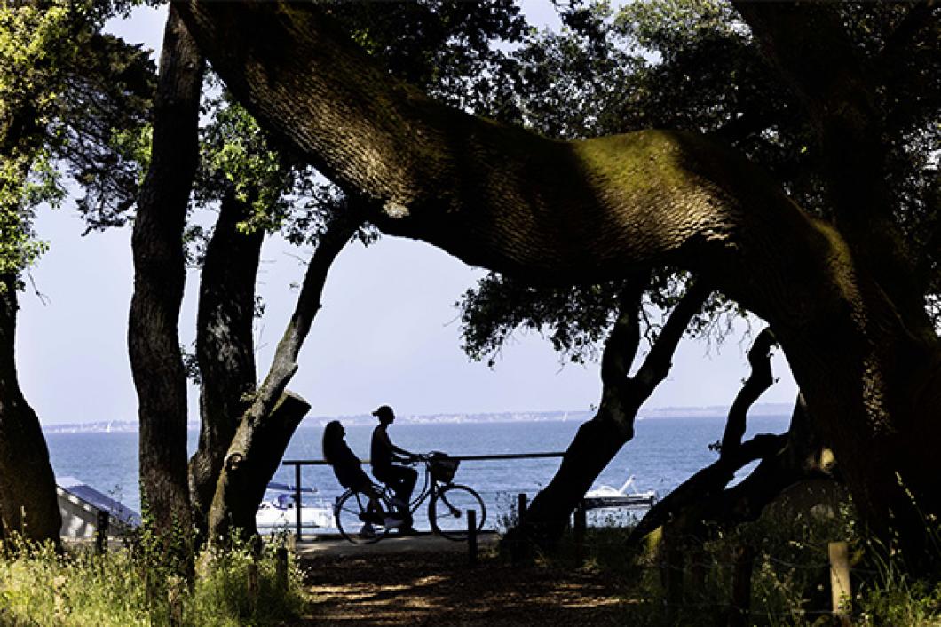 Bois de la Chaise à vélo ©Les balades de Nicolas