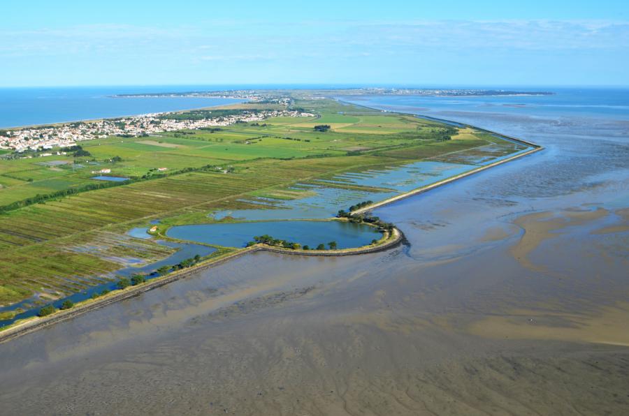 Le polder de Sébastopol - vue du ciel - Didier Dabarit