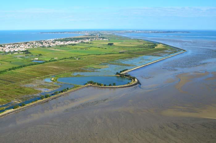 Le polder de Sébastopol - Didier Dabarit
