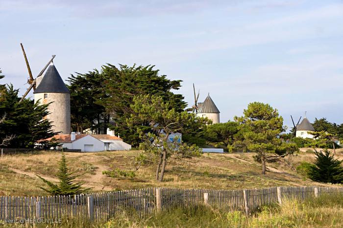 Entre marais et moulins - Moulins de la Court