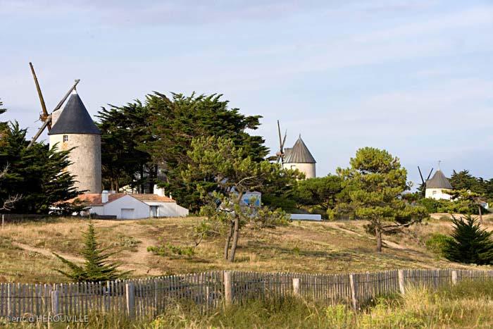 Moulins de La Guérinière - Herouville