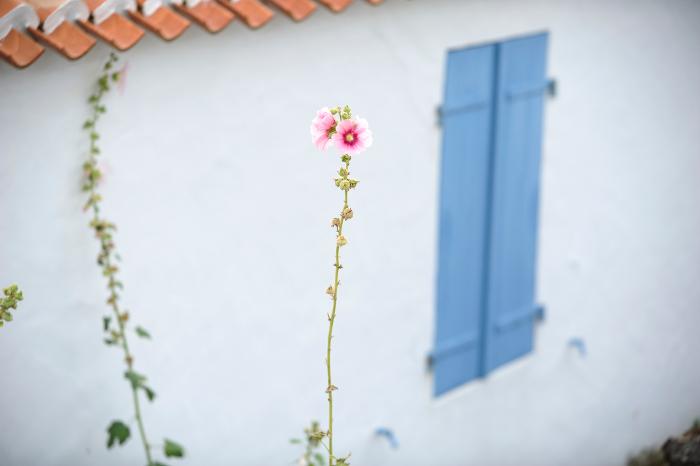 Chemin de mer et de marais - Village de L'Epine