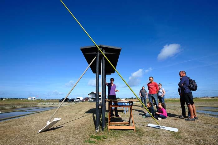 Visiter un marais salant - Marais les Angibauds - Jean-Sébastien Evrard