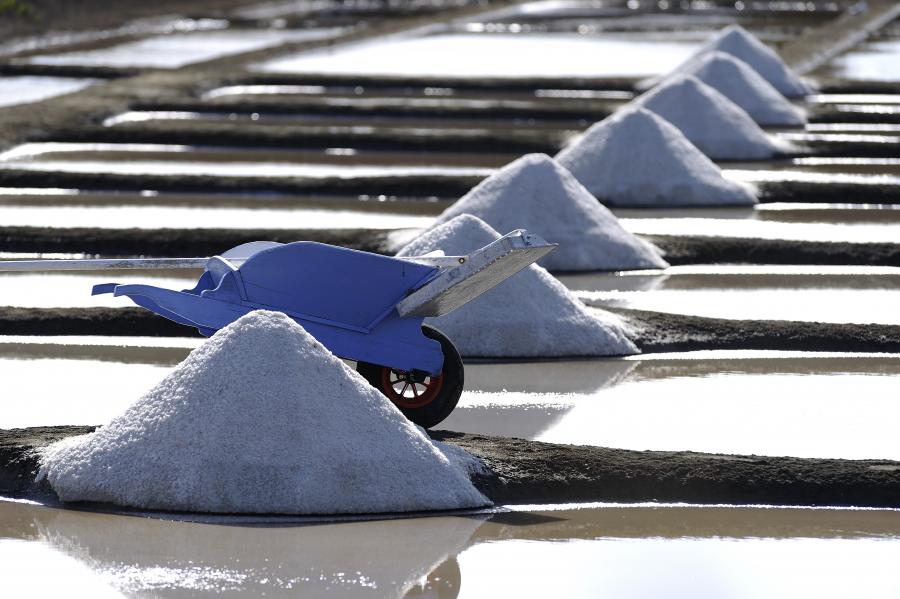 Marais salants île de Noirmoutier - Jean-Sébastien Evrard