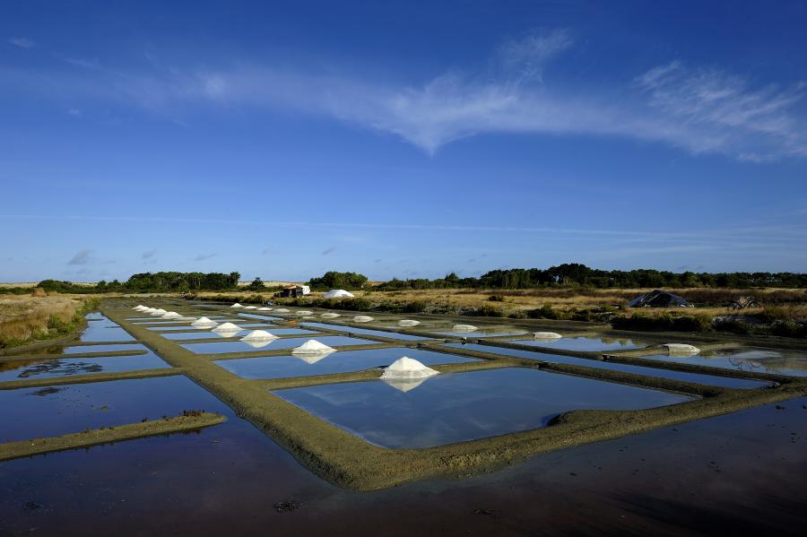 Les marais salants - île de Noirmoutier - Evrard