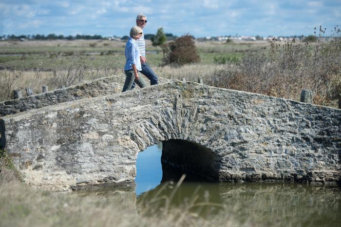 Chemin de mer et de marais - Marais salants
