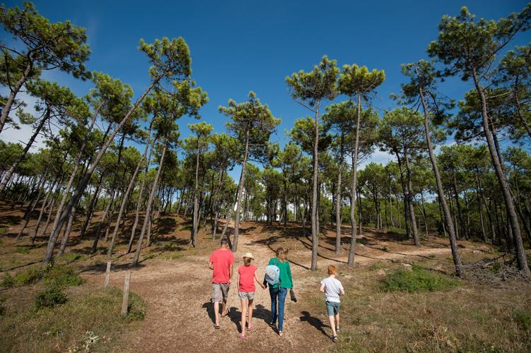 A pied dans le bois des Eloux - JS Evrard