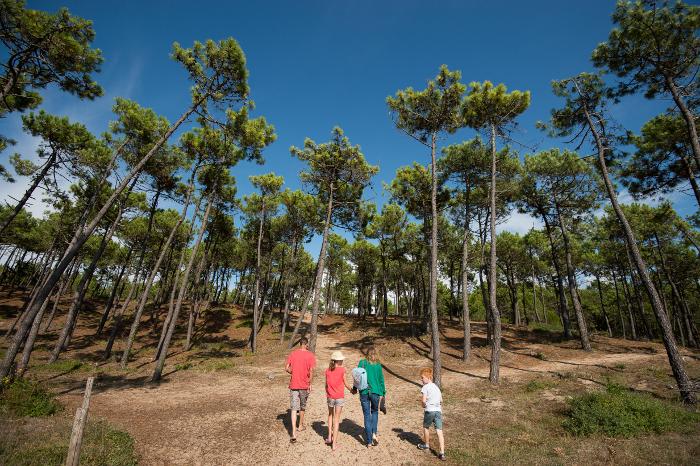 En passant par les moulins - Le Bois des Eloux