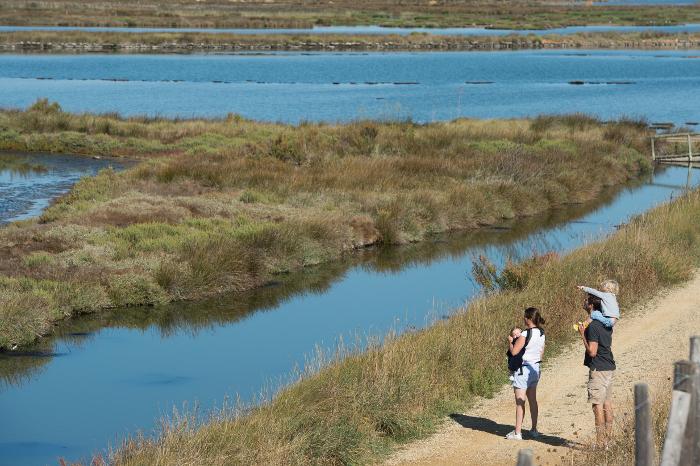 Les portes de l'île - Polder de Sébastopol