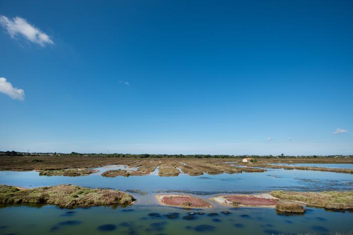 Les portes de l'île - Réserve naturelle de Sébastopol - JS Evrard