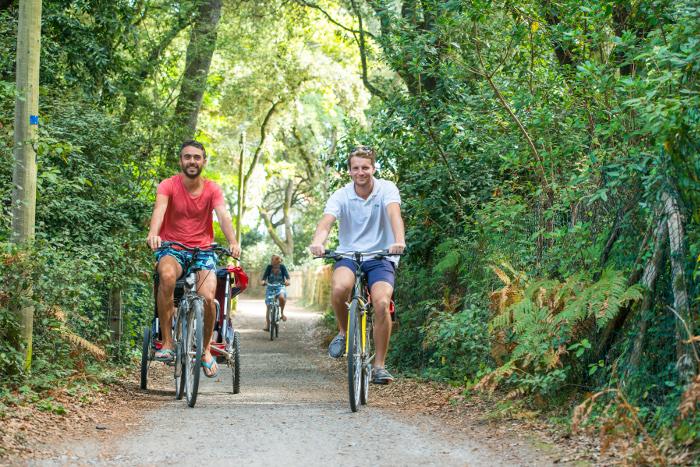 Entre plages et ports - Le Bois de la Chaise - Joncheray