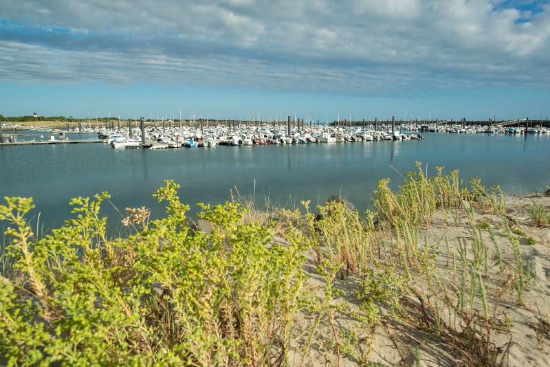 Port de morin - Joncheray