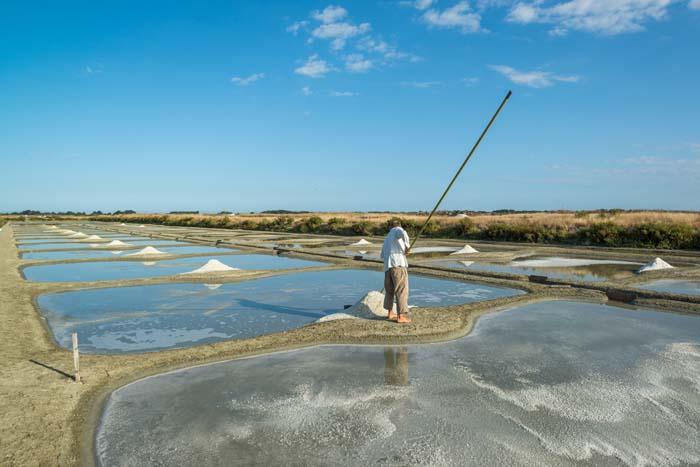 Marais salant - île de Noirmoutier - Joncheray