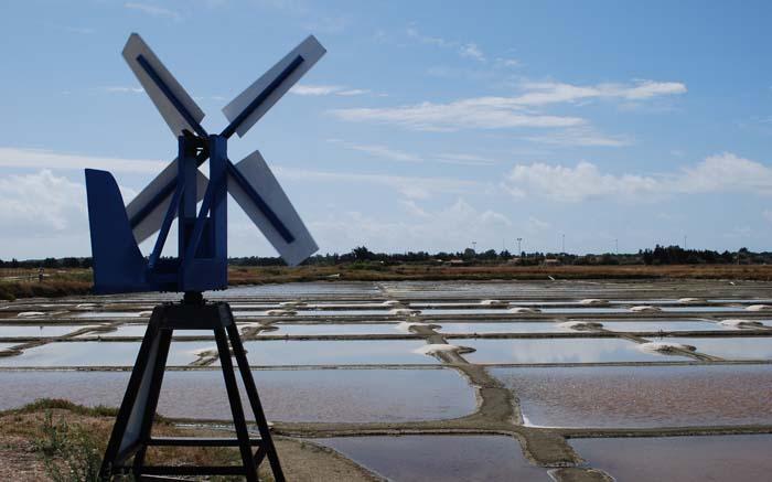 Marais salant - île de Noirmoutier