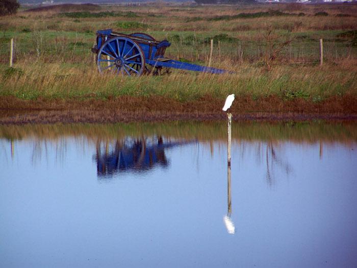 La réserve naturelle du Müllembourg - Philippe Gaumont