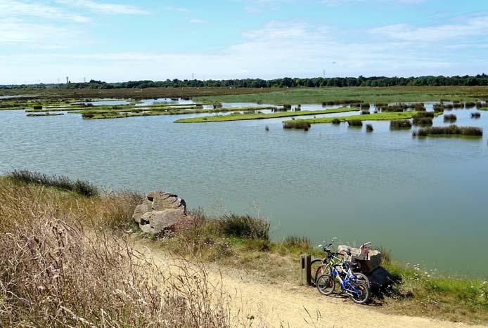 Le polder de Sébastopol - Stéphanie Ducrocq