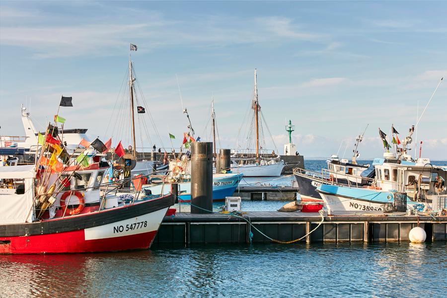 Port de pêche de l'Herbaudière - Alexandre Lamoureux