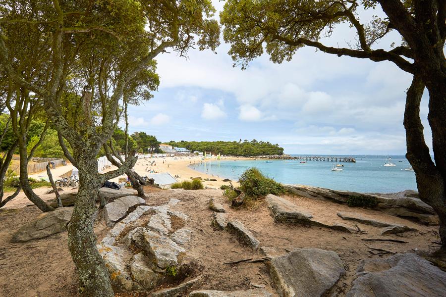 La pointe St-Pierre - Bois de la Chaise - Alexandre Lamoureux