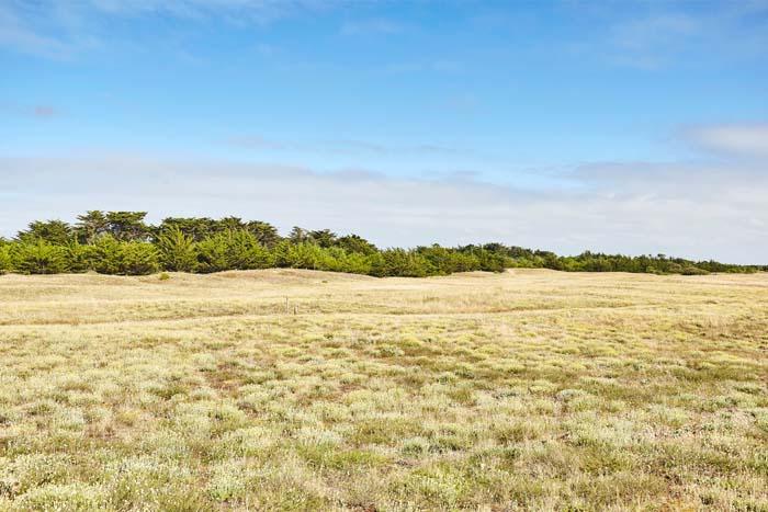 Les dunes de l'île de Noirmoutier - Alexandre Lamoureux